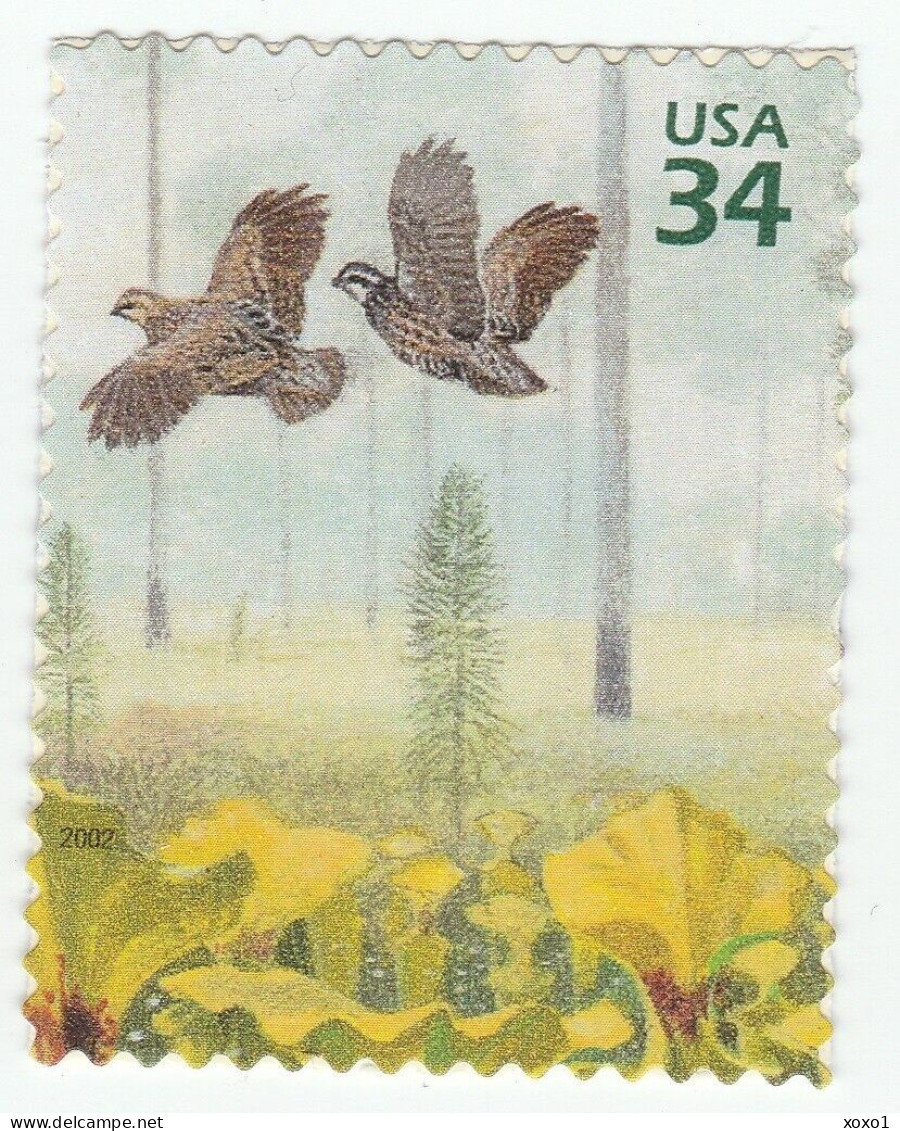 USA 2002 MiNr. 3573 Etats-Unis, United States Pine Forest, 4th, Birds, Northern Bobwhite 1v MNH** 1.20 € - Rebhühner & Wachteln