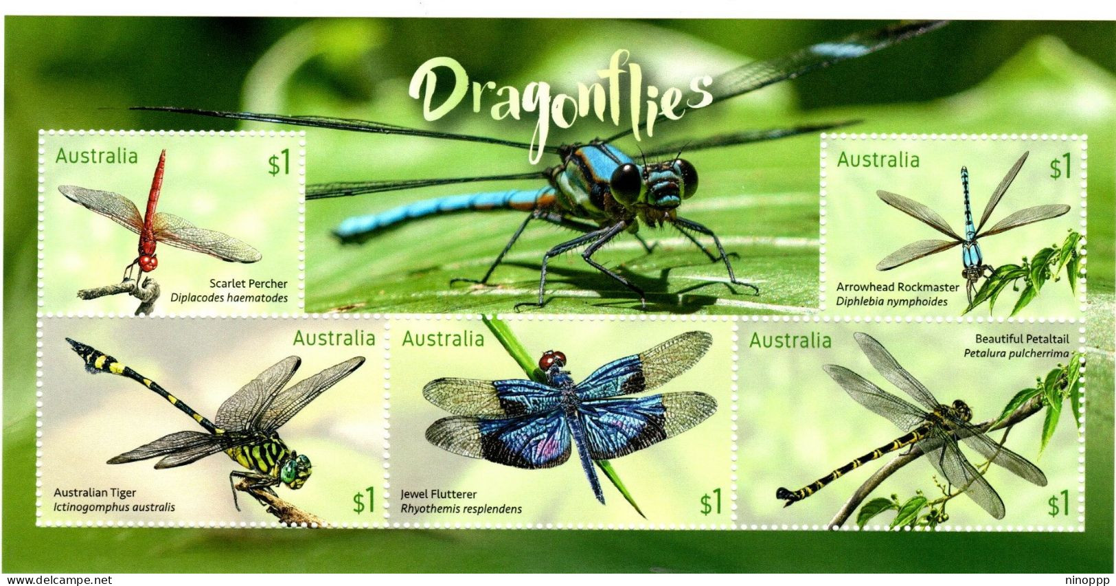 Australia ASC 3494-98MS 2017 Dragonflies,miniature Sheet,mint Never Hinged - Sonstige & Ohne Zuordnung