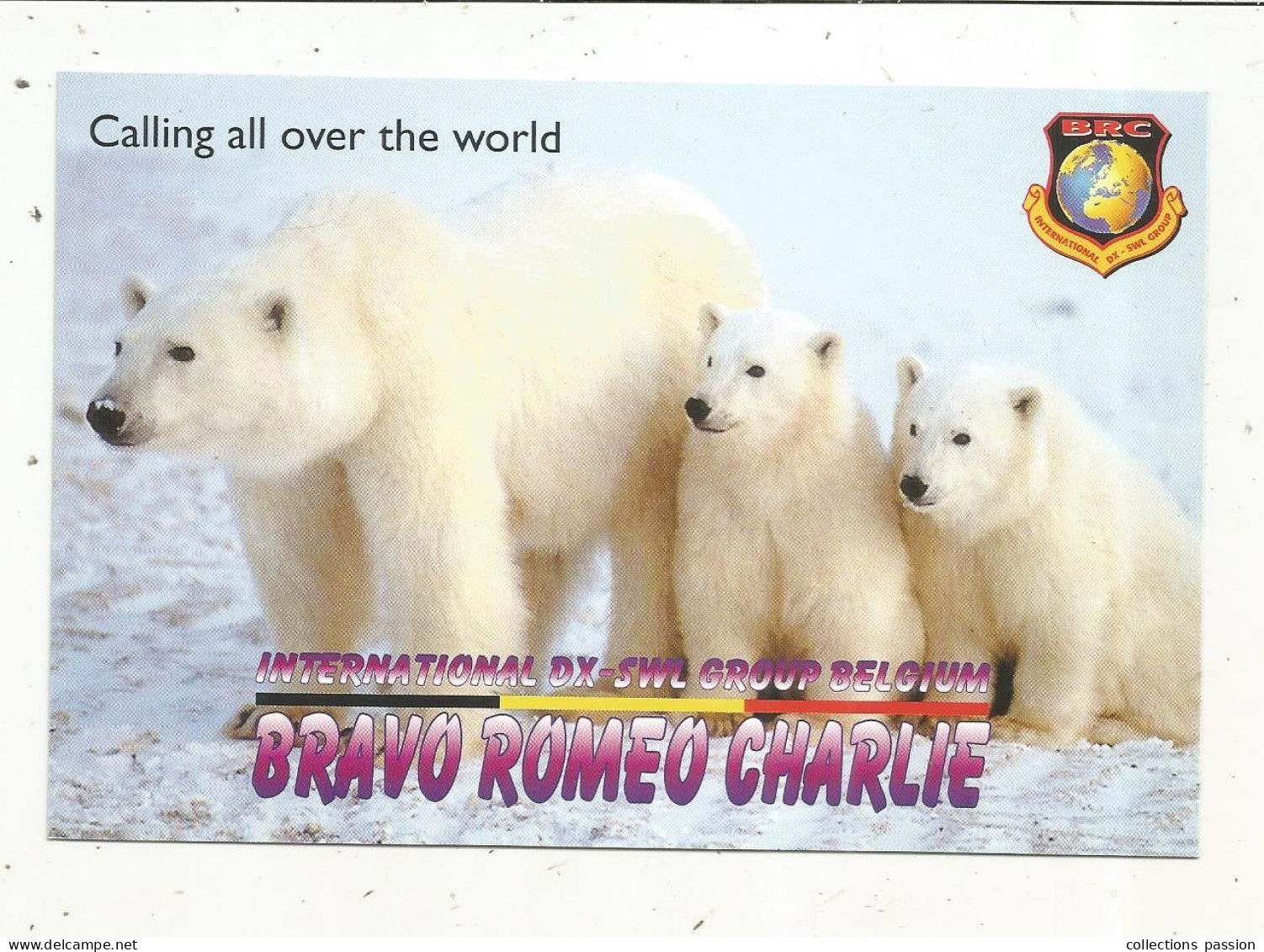 Cp , Carte QSL,  BRAVO ROMEO CHARLIE, International DX - SWL Group Belgium, Ours Et Oursons Polaires, 2 Scans - Radio Amateur