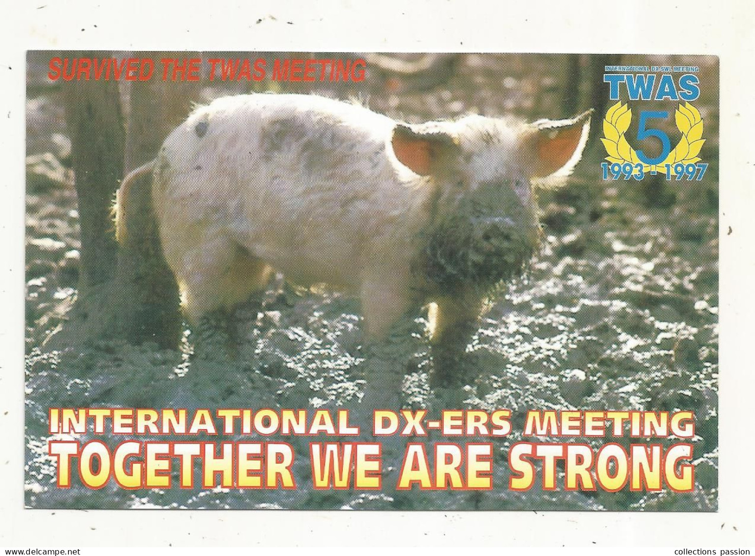 Cp , Carte QSL,  BRAVO ROMEO CHARLIE, International DX - ERS MEETING, 1997, Cochon, 2 Scans - Radio Amateur