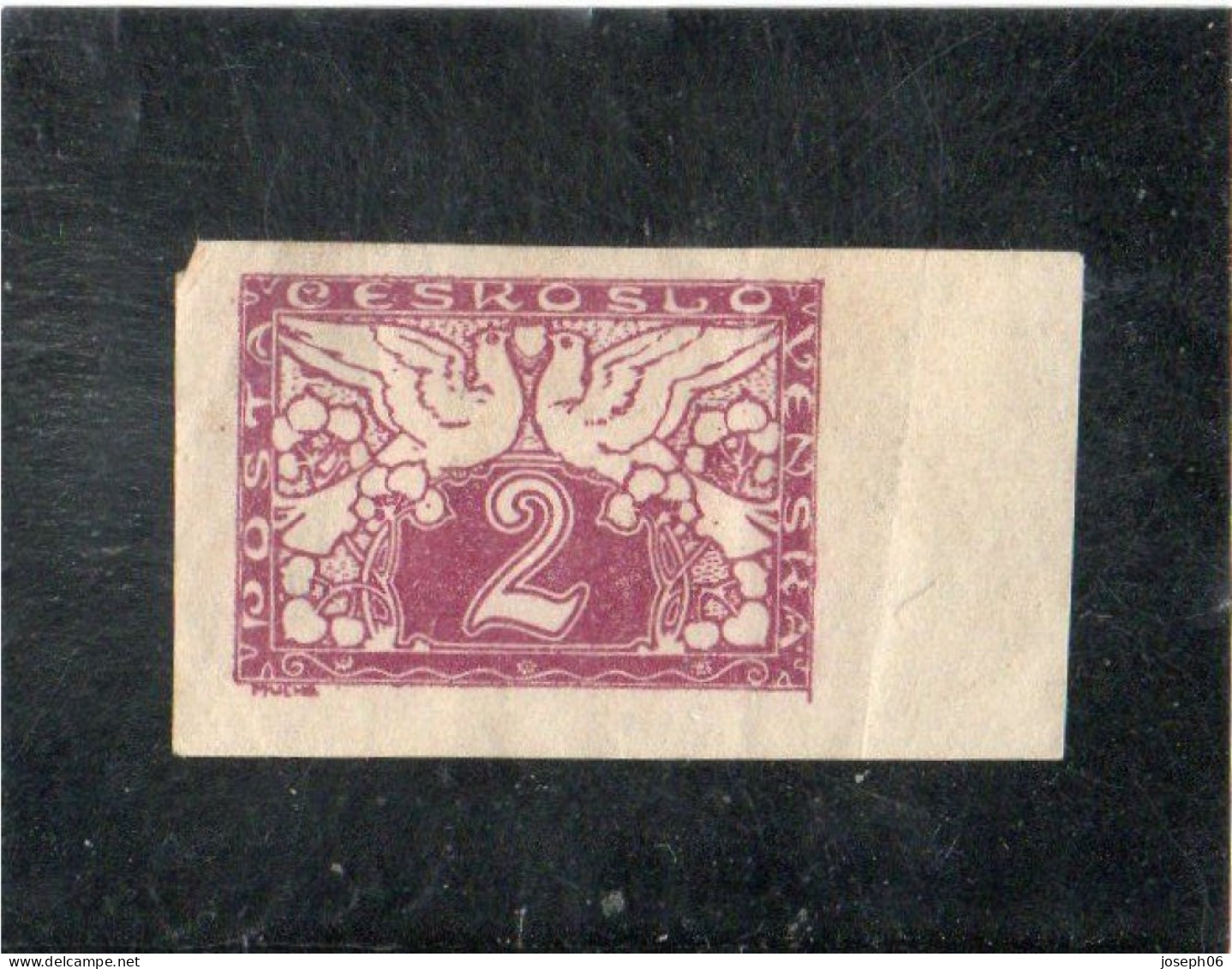 TCHECOSLOVAQUIE   1920  Timbres Pour Exprès  Y.T. N° 9  NEUF* - Official Stamps