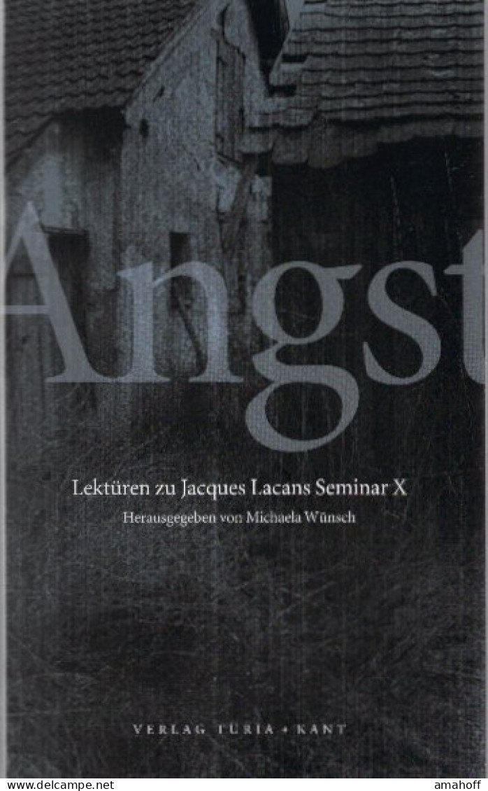 Angst: Lektüren Zu Jacques Lacans Seminar X - Psicología