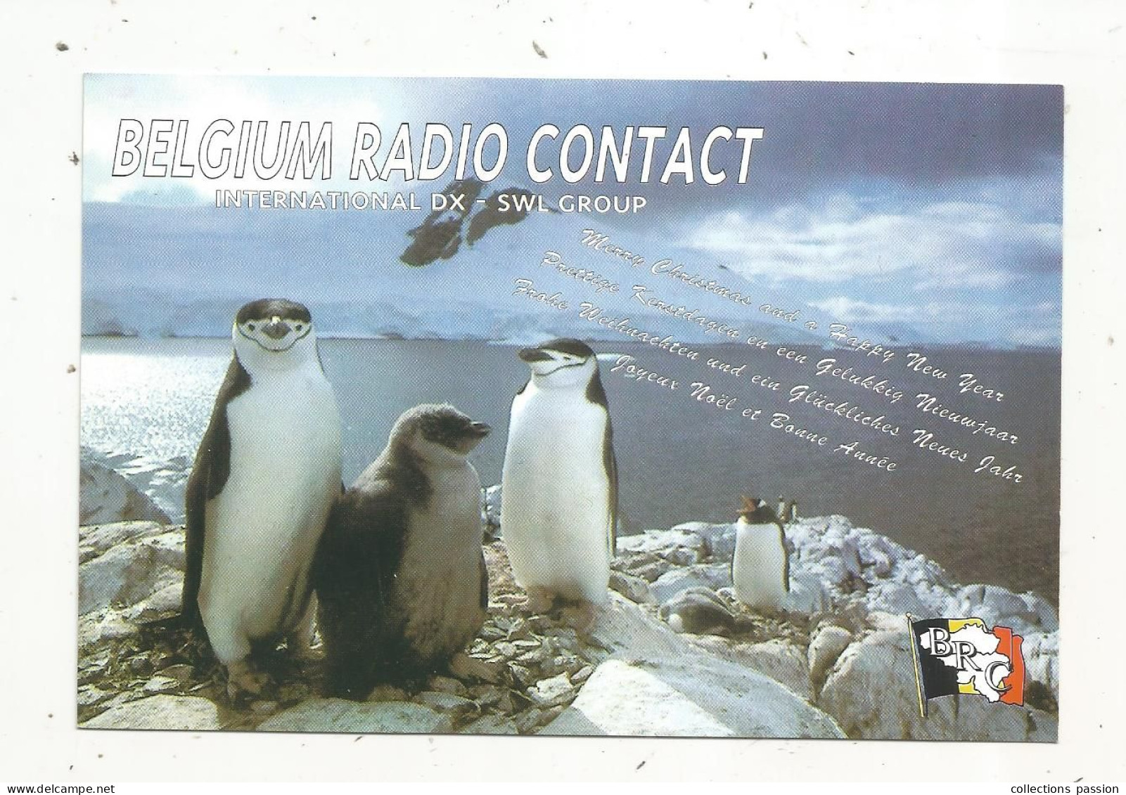 Cp , Carte QSL,  BRAVO ROMEO CHARLIE, International DX - SWL Group Belgium, Pingouins, 2 Scans - Radio Amateur