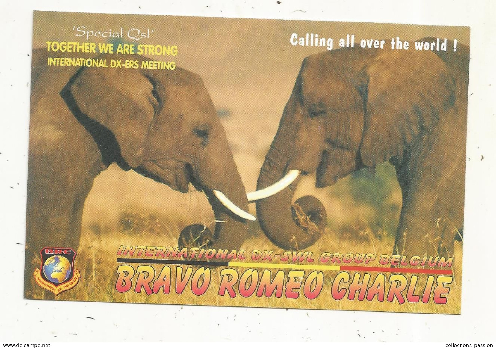 Cp , Carte QSL,  BRAVO ROMEO CHARLIE, International DX - SWL Group Belgium, éléphants, 2 Scans - Radio Amatoriale