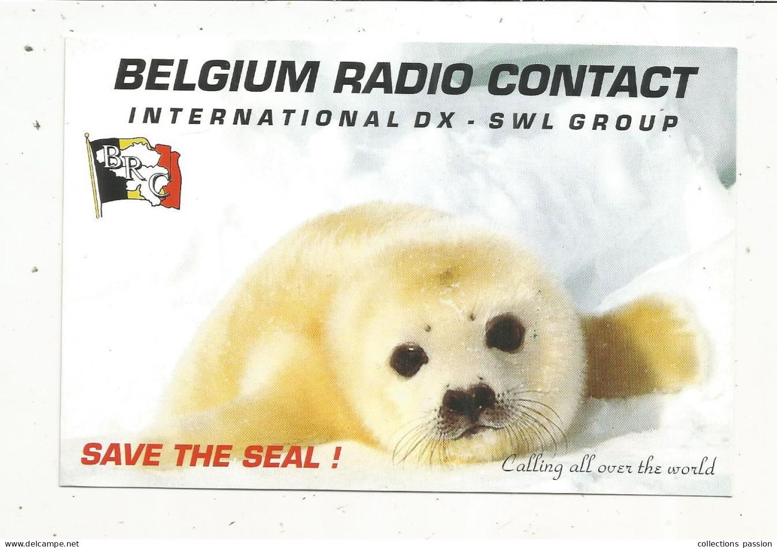 Cp , Carte QSL,  BRAVO ROMEO CHARLIE, International DX - SWL Group Belgium, Bébé Phoque, 2 Scans - Radio Amatoriale