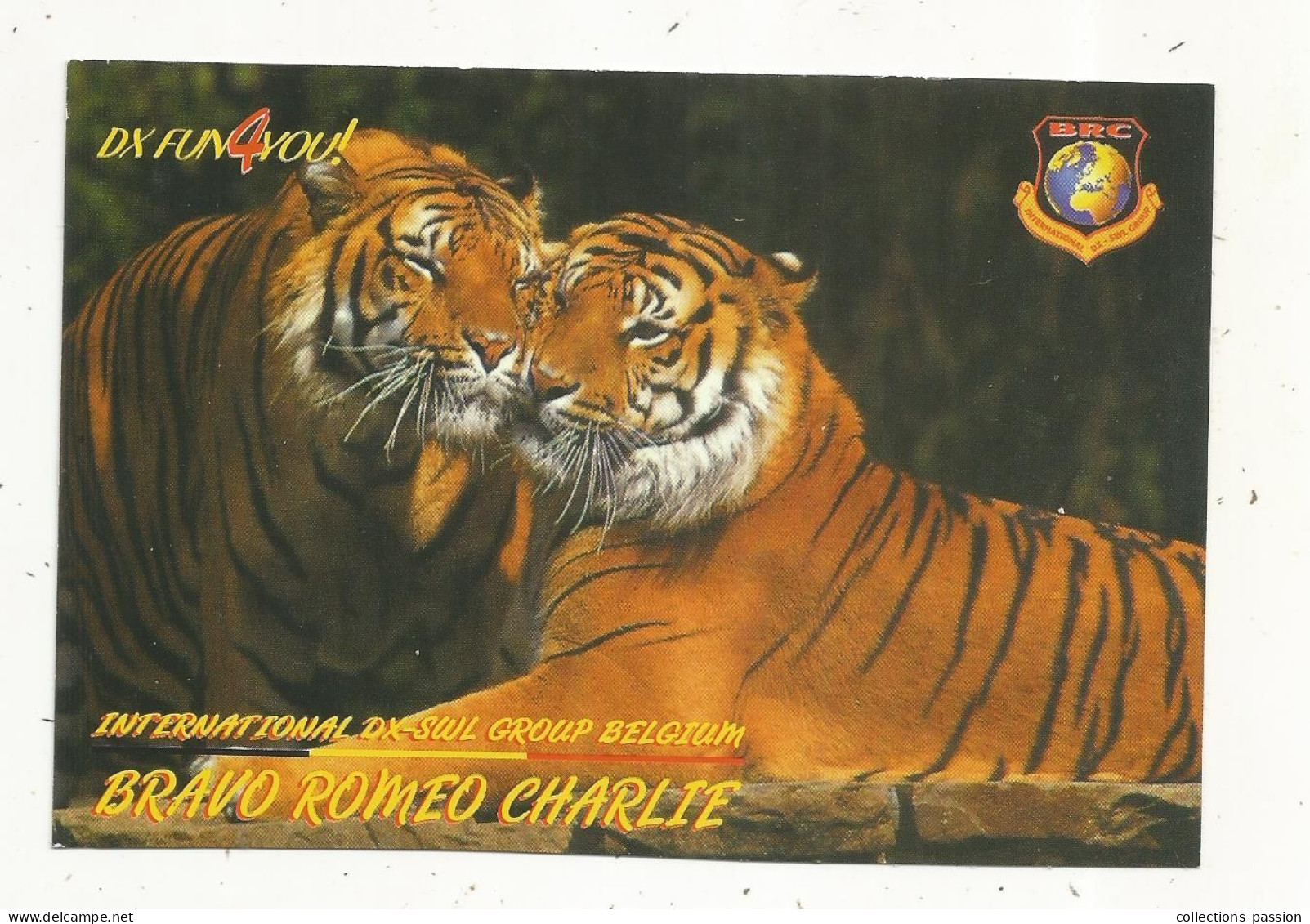 Cp , Carte QSL,  BRAVO ROMEO CHARLIE, International DX - SWL Group Belgium, Tigre, 2 Scans - Radio Amatoriale