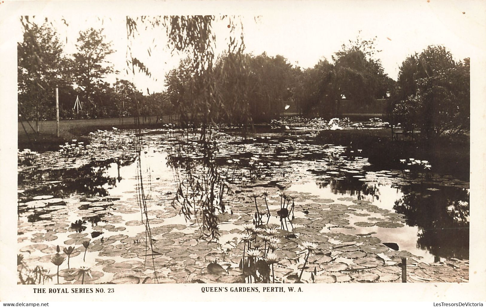 Australie - The Royal Series No 23 - Queen's Garden, Perth, W.A. - Edit. Ratcliffe - Carte Postale Ancienne - Other & Unclassified