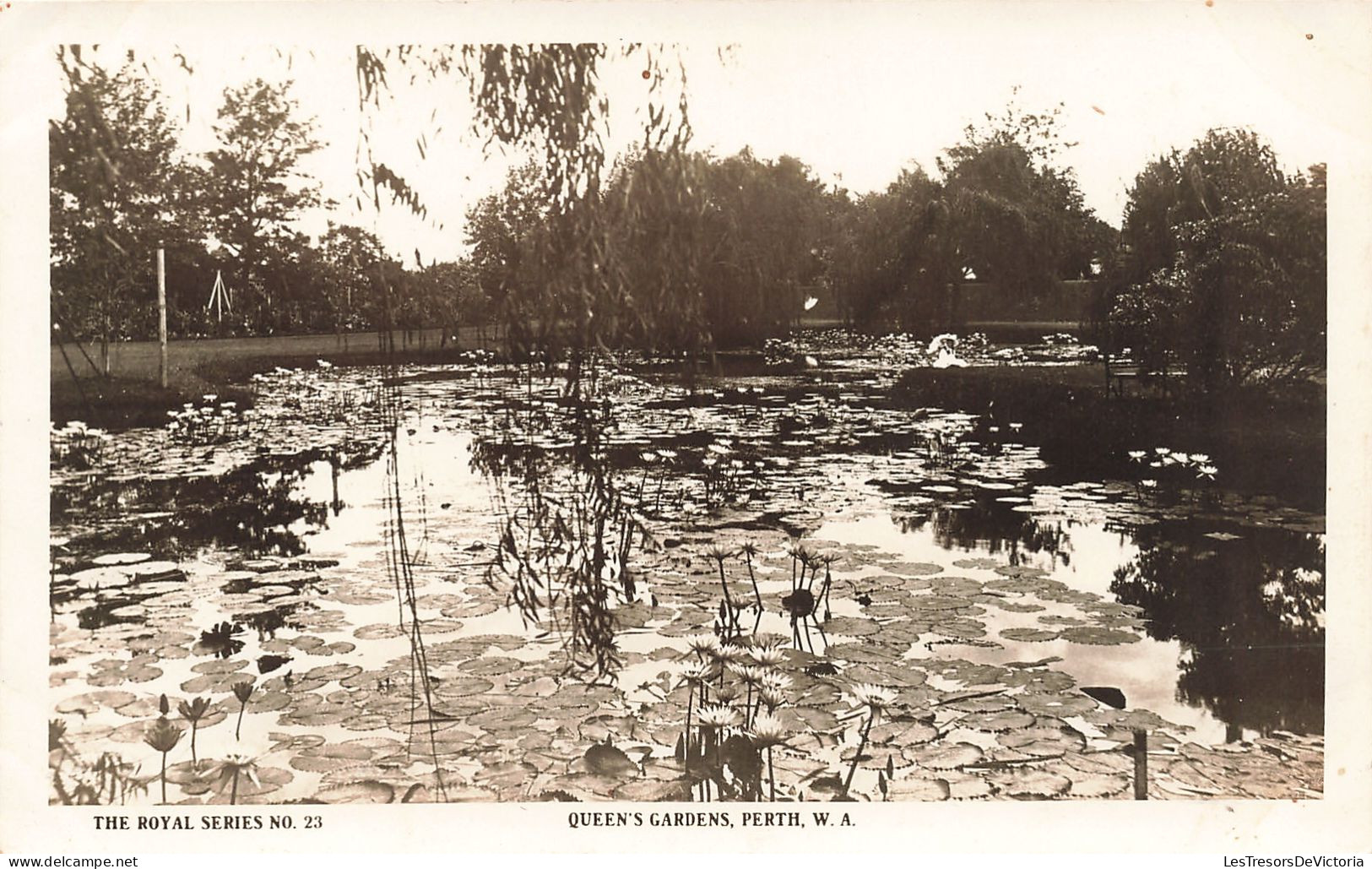 Australie - The Royal Series No 23 - Queen's Garden, Perth, W.A. - Edit. Ratcliffe - Carte Postale Ancienne - Otros & Sin Clasificación