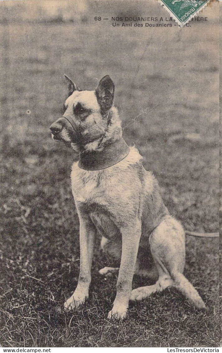 DOUANE - Un Ami Des Douaniers - Chien - Carte Postale Ancienne - Customs