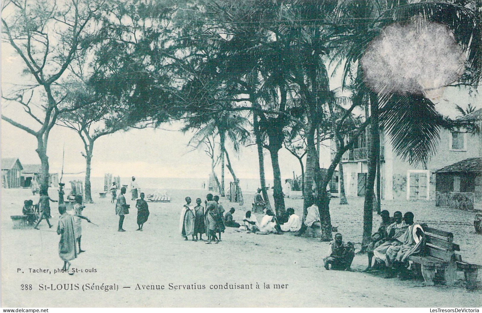 SENEGAL - SAINT LOUIS - Avenue Servatius Conduisant à La Mer - Carte Postale Ancienne - Sénégal