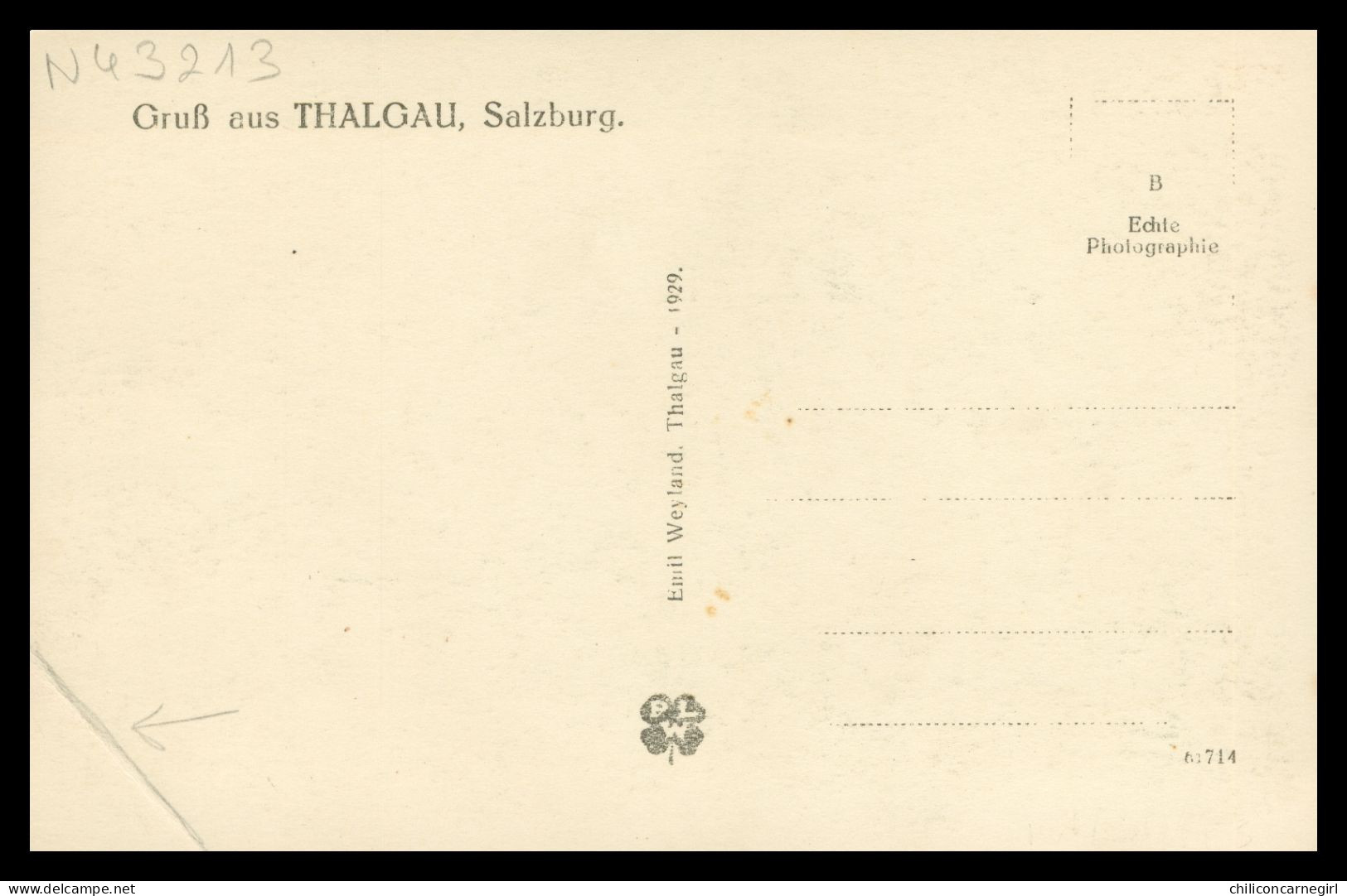 * Gruss Aus THALGAU - Gruß - Salzburg - Edit. EMIL WEYLAND - 1929 - P.L.W. - Thalgau