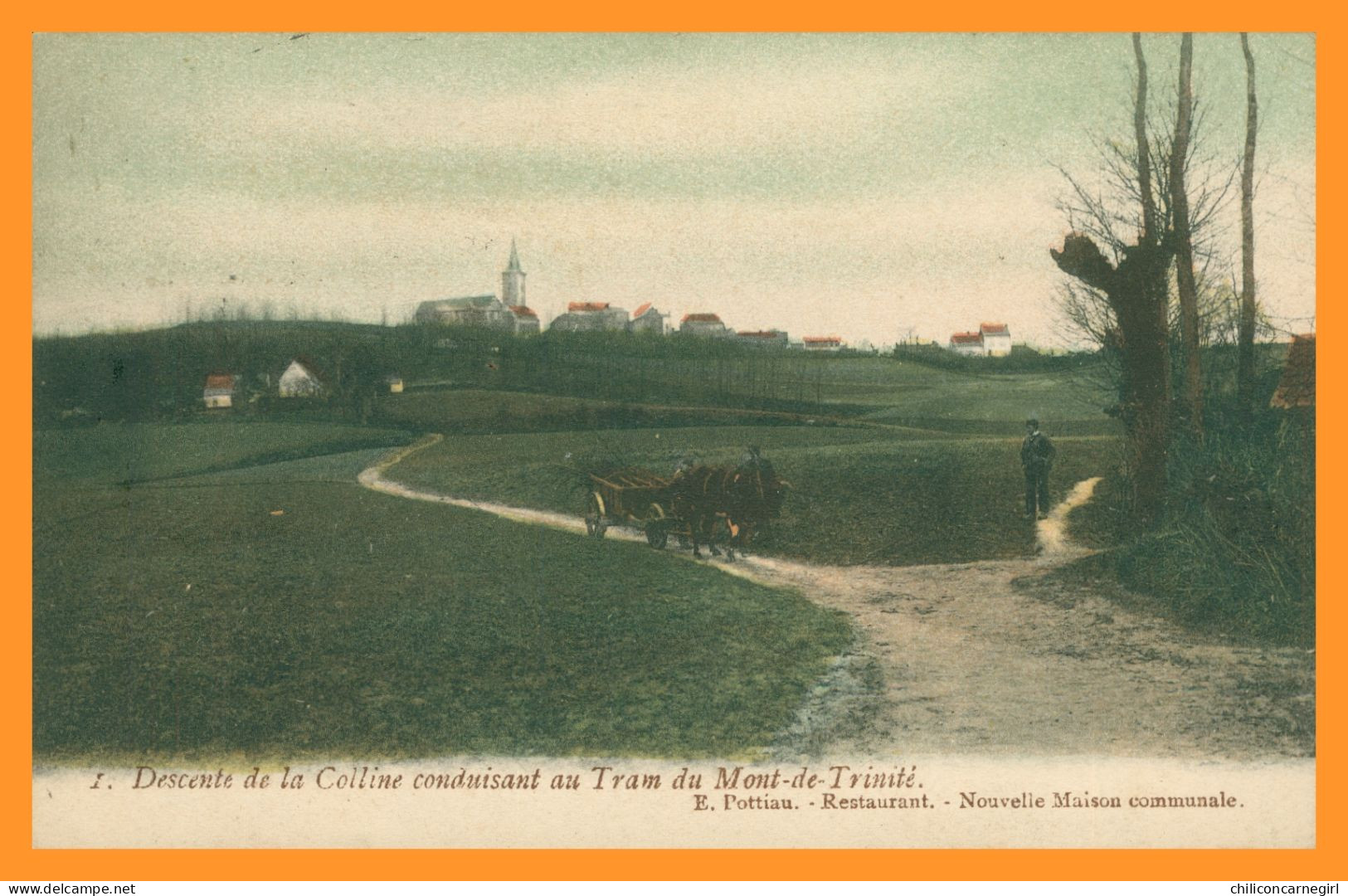 * Descente De La Colline Conduisant Au Tram Du Mont De Trinité - Attelage De Bœufs - Animée - Colorisée - POTTIAU - 1906 - Doornik