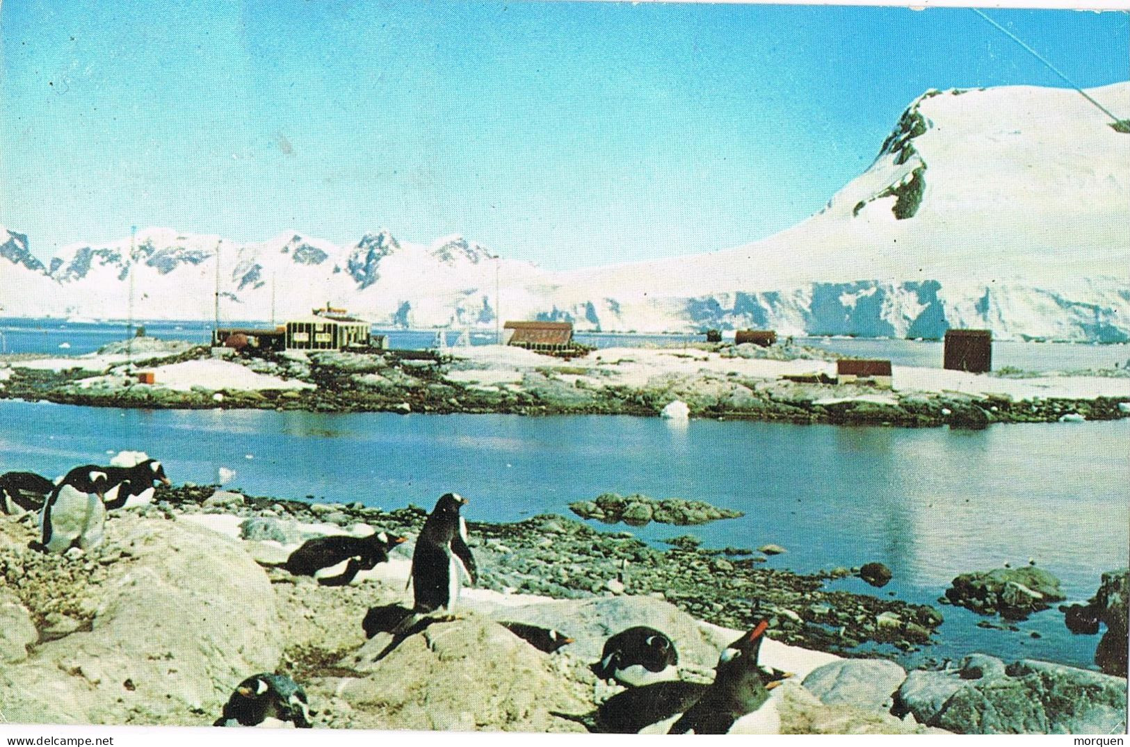 49304. Postal Aerea USHUAIA (Argentina) 1963. Base Gonzalez Videla, Antartina Chilena - Storia Postale