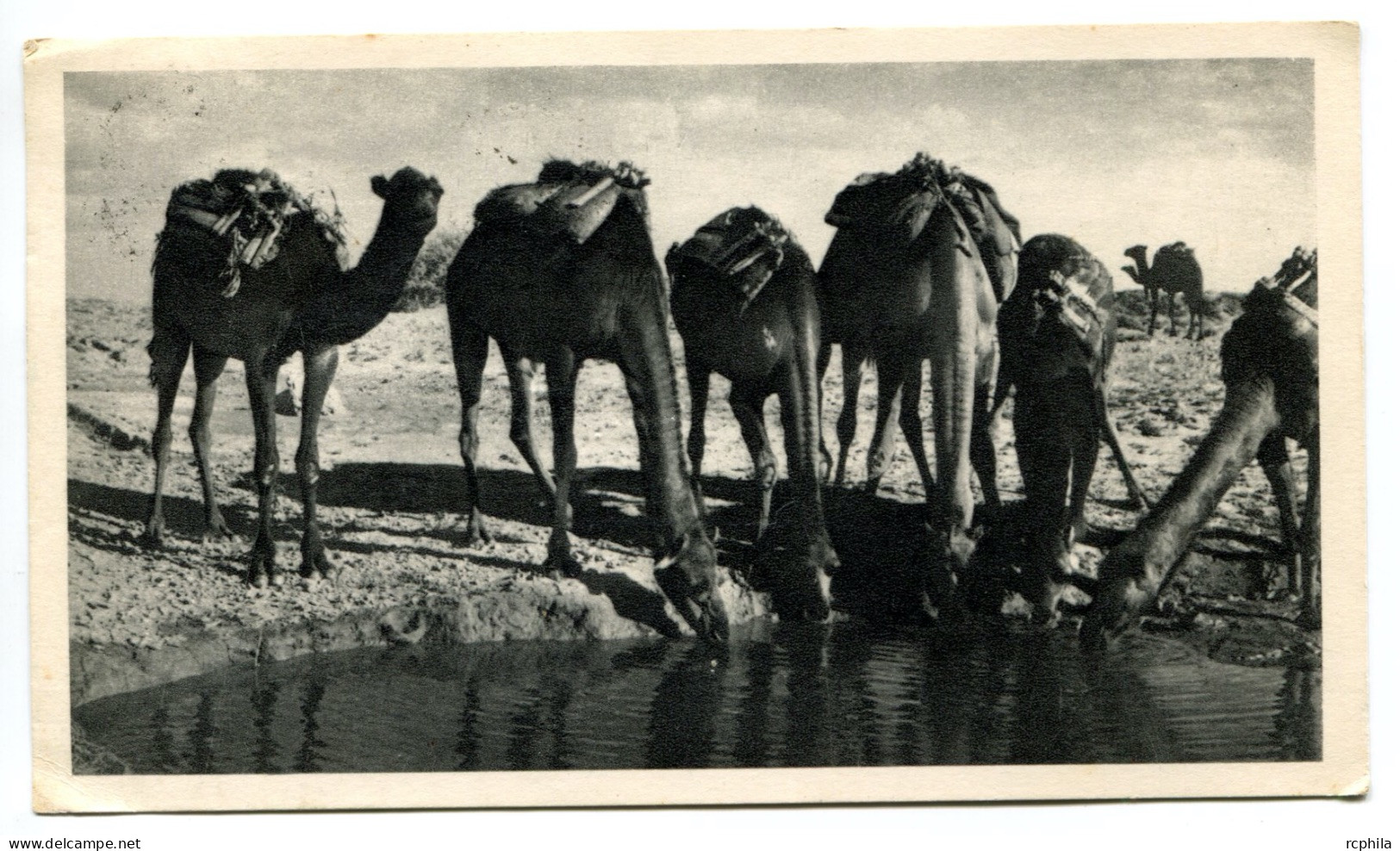 RC 24773 MAROC ESPAGNOL 1953 CROISIERE AMORA CARTE PUBLICITAIRE - CHAMEAUX - POUR TULLINS ISERE FRANCE - Marocco Spagnolo