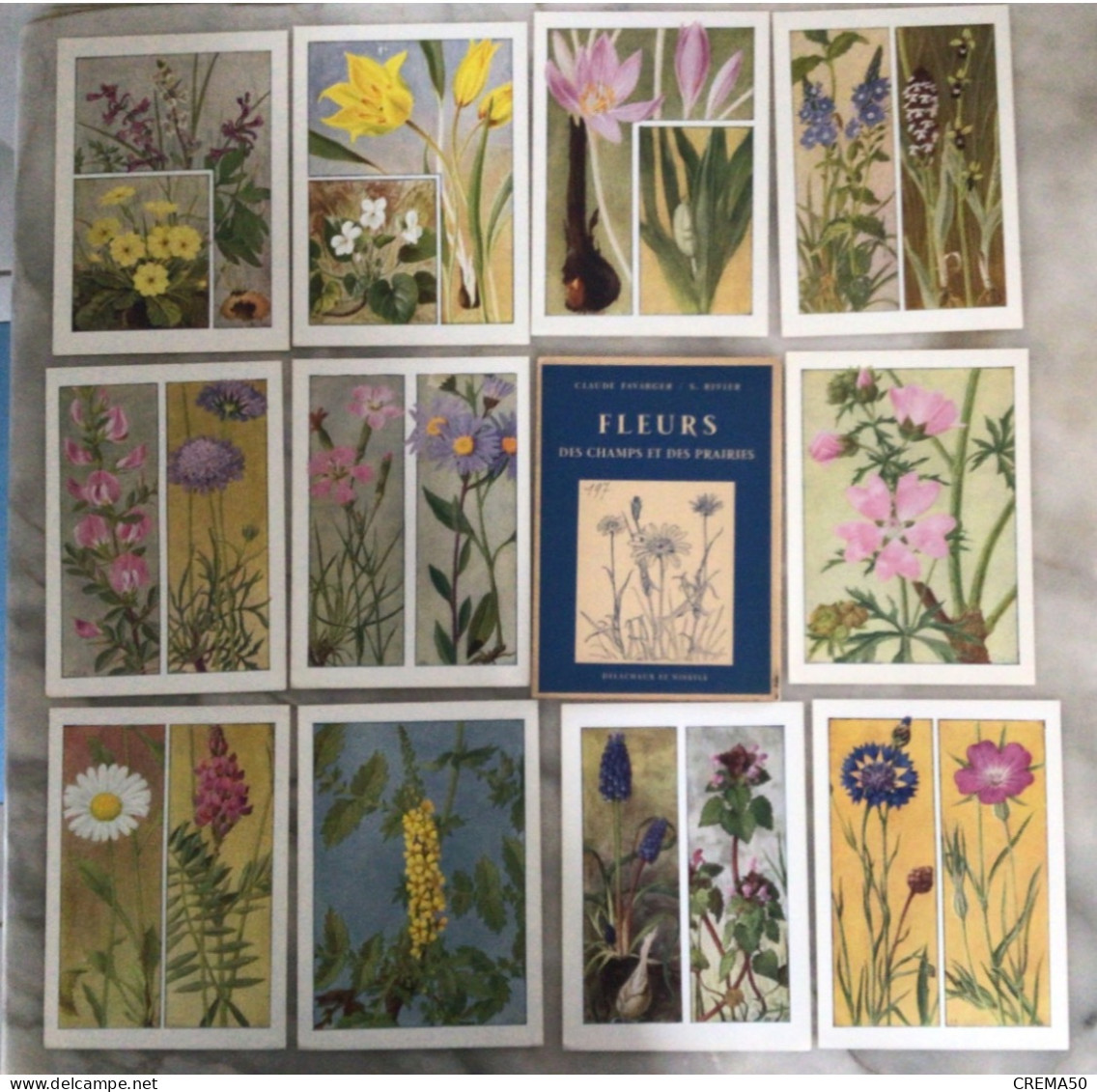 11Fiches Fleurs Des Champs Et Des Prairies De Claude Favarger Et S. Riviers. ED. Delachaux Et Niestlé - Autres & Non Classés