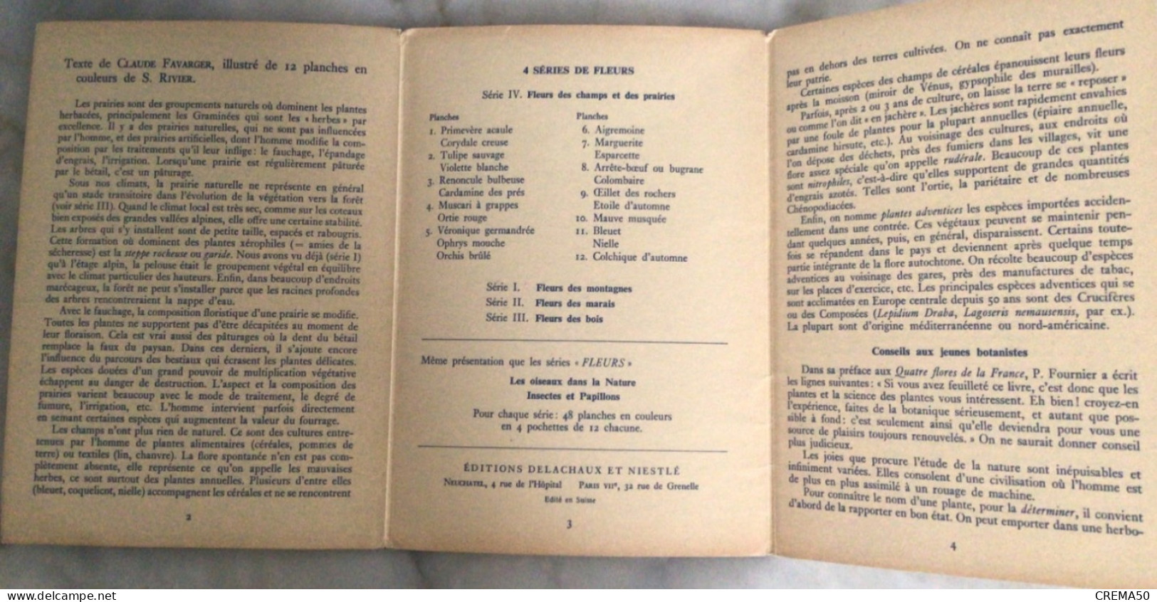 11Fiches Fleurs Des Champs Et Des Prairies De Claude Favarger Et S. Riviers. ED. Delachaux Et Niestlé - Autres & Non Classés