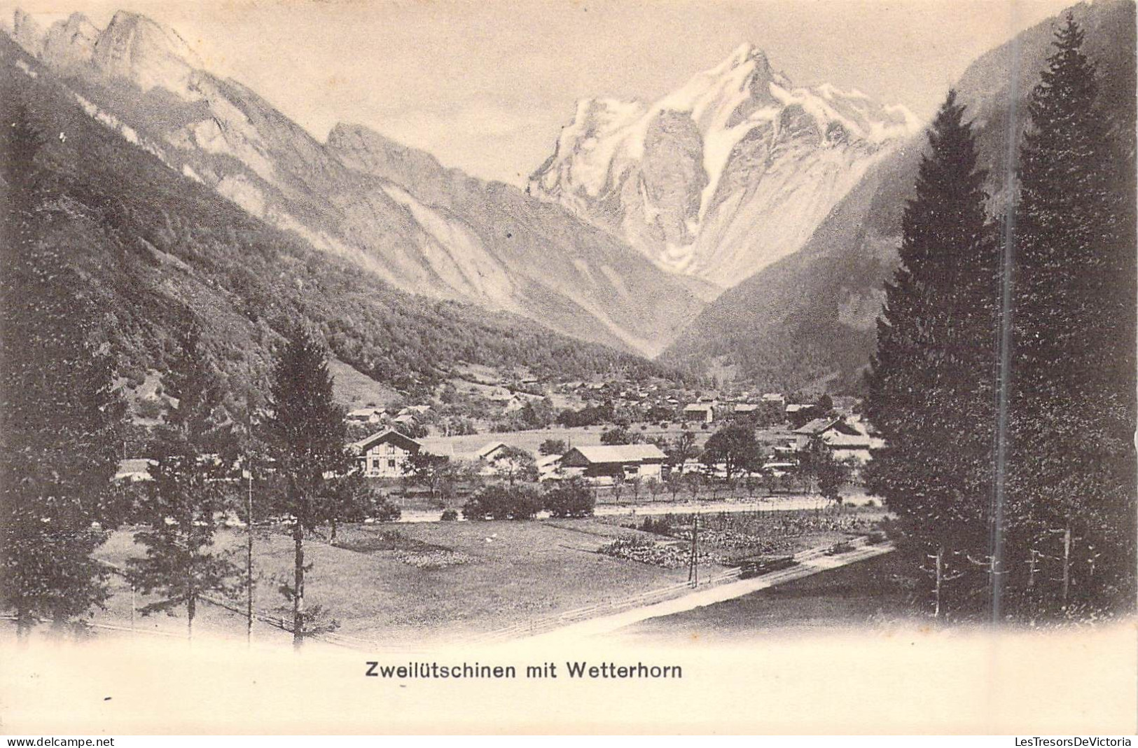 SUISSE - Zweilutschinen Mit Wetterhorn - Carte Postale Ancienne - Horn