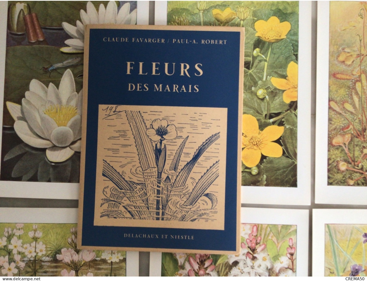 12 Fiches Fleurs Des Marais De Claude Favarger Et P A Robert. ED. Delachaux Et Niestlé - Other & Unclassified