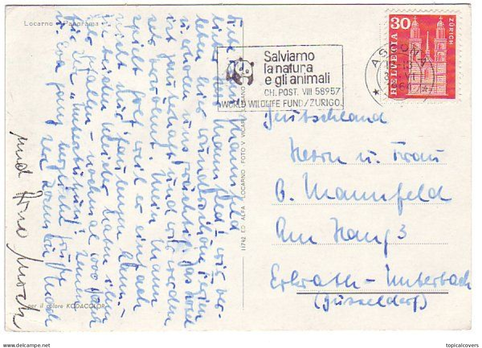 Postcard  / Postmark Switzerland 1964 - WWF - World Wildlife Fund - Panda Bear - Briefe U. Dokumente