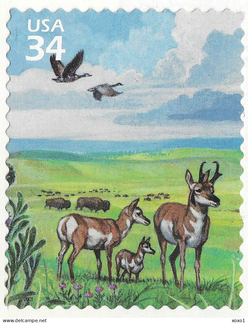 USA 2001 MiNr. 3450 Etats-Unis United States Great Plains Prairie, Birds Canada Goose 1v MNH** 0.90 € - Oche