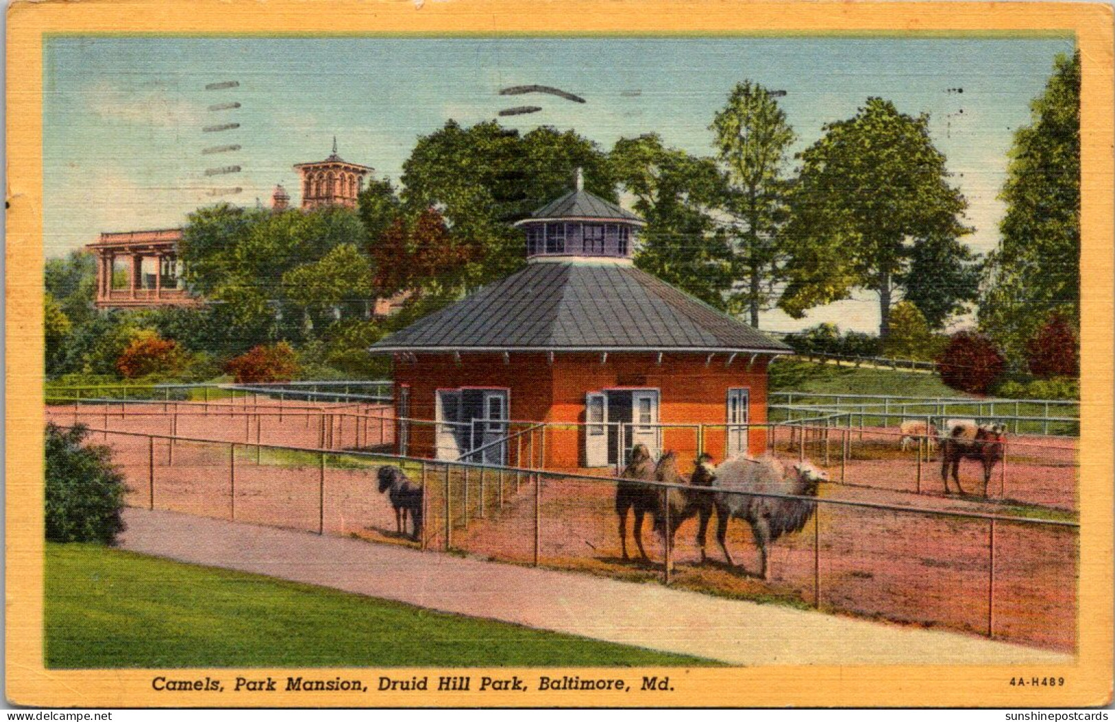 Maryland Baltimore Druid Hill Park Park Mansion Camels 1959 Curteich - Baltimore