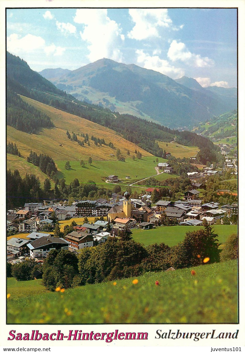 CPSM Saalbach Mit Zwölferkogel      L2128 - Saalbach