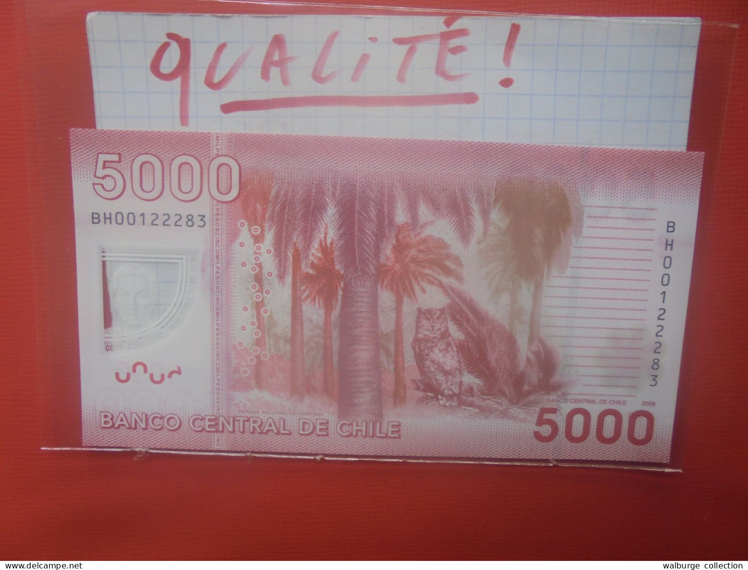 CHILI 5000 PESOS 2009 UNC (B.29) - Cile