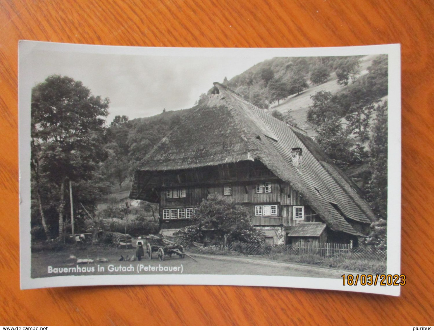 BAUERNHAUS IN GUTACH  PETERBAUER   , 11-3 - Gutach (Schwarzwaldbahn)