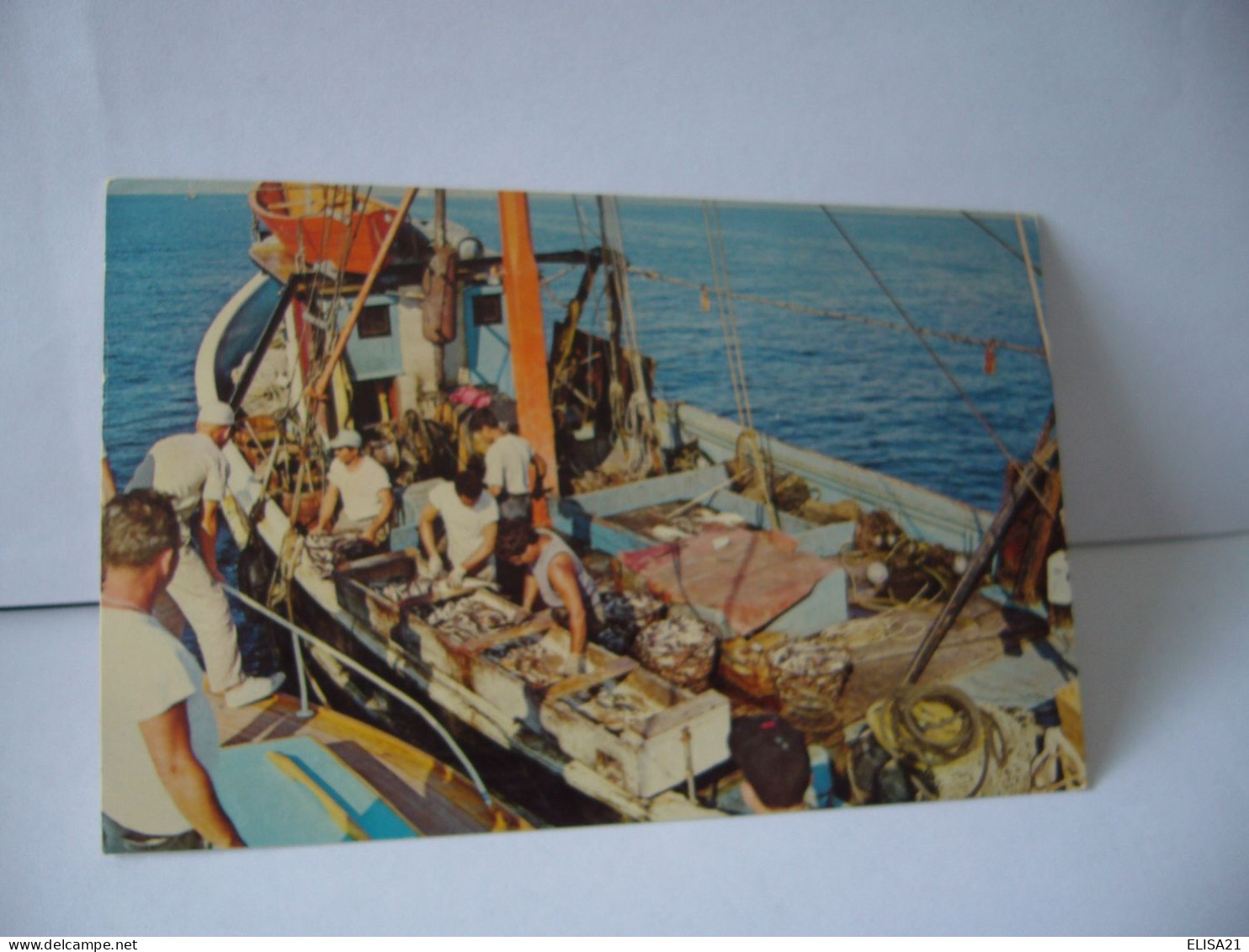 COMMERCIALIAL FISHING BOAT OUT OF PROVINCETOWN ON CAPE COS MA MASSACHUSETTS  ETAT UNIS USA  CP FORMAT CPA1970 - Cape Cod