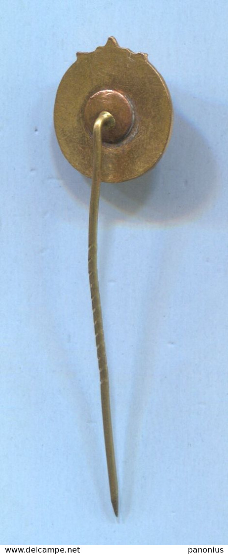 Archery Shooting - Yugoslavia  Federation Association, Vintage Pin Badge Abzeichen, Enamel - Tiro Al Arco