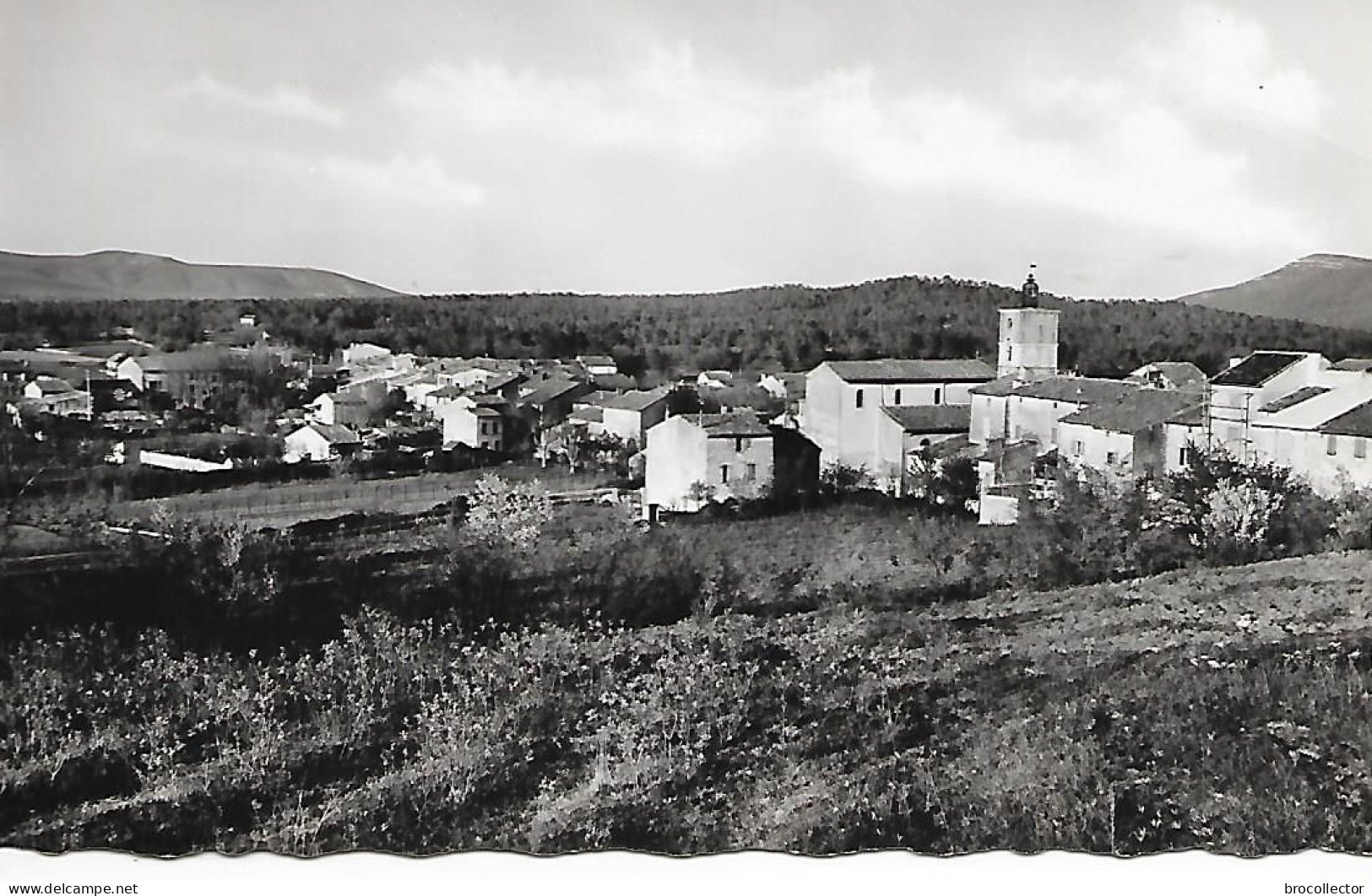 NANS Les PINS ( 83 ) - Vue Générale ( C.P.S.M. , Pt - Ft ) - Nans-les-Pins