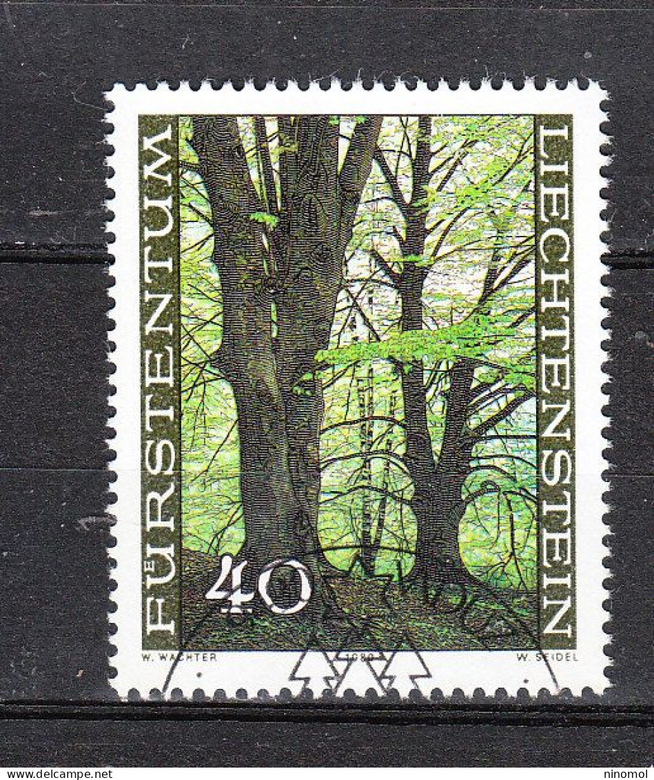 Liechtenstein  - 1980. Faggio Nel Bosco.  Beech Tree In The Woods. - Vegetables