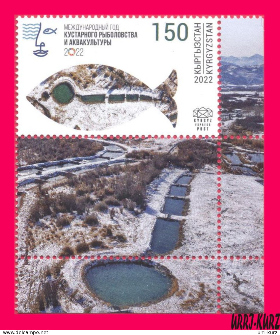 KYRGYZSTAN 2022-2023 International Year Of Artisanal Fisheries And Aquaculture Fish Fishes 1v+ Mi KEP 201 MNH - Agriculture