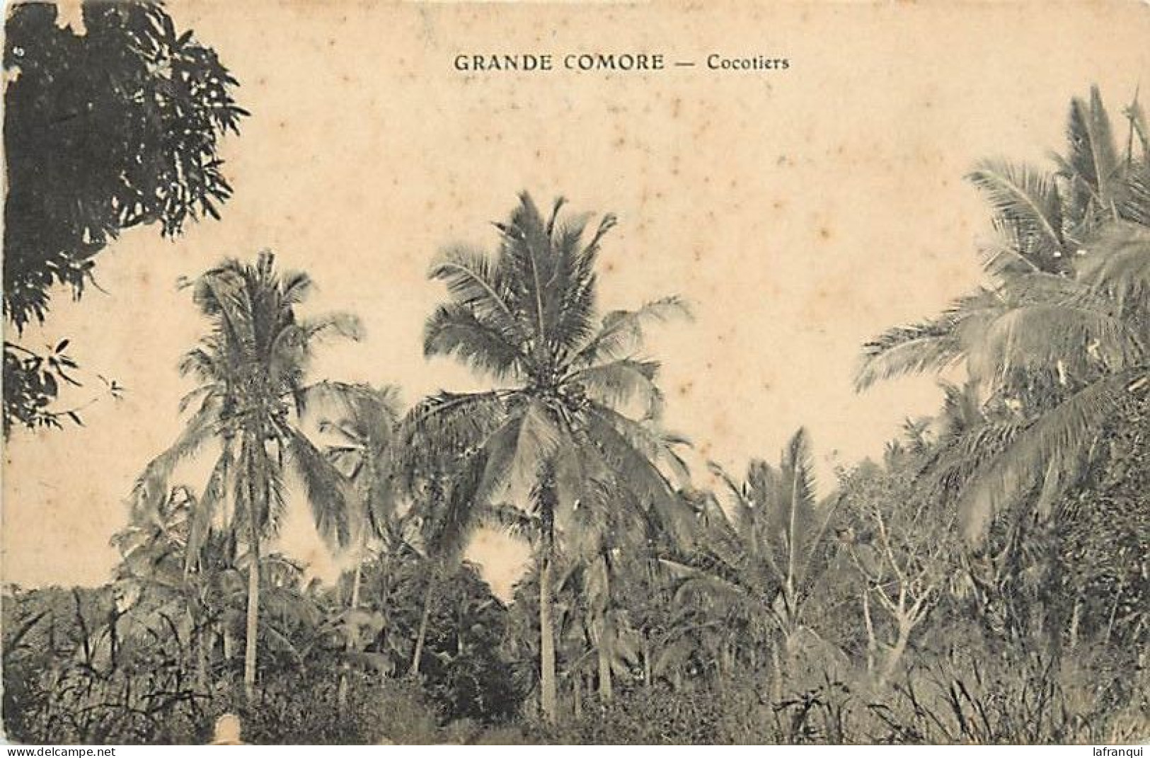 Pays Div-ref CC687- Comores - Grande Comore - Cocotiers / Etat : Petites Et Legeres Taches -carte Bon Etat General - - Comorre