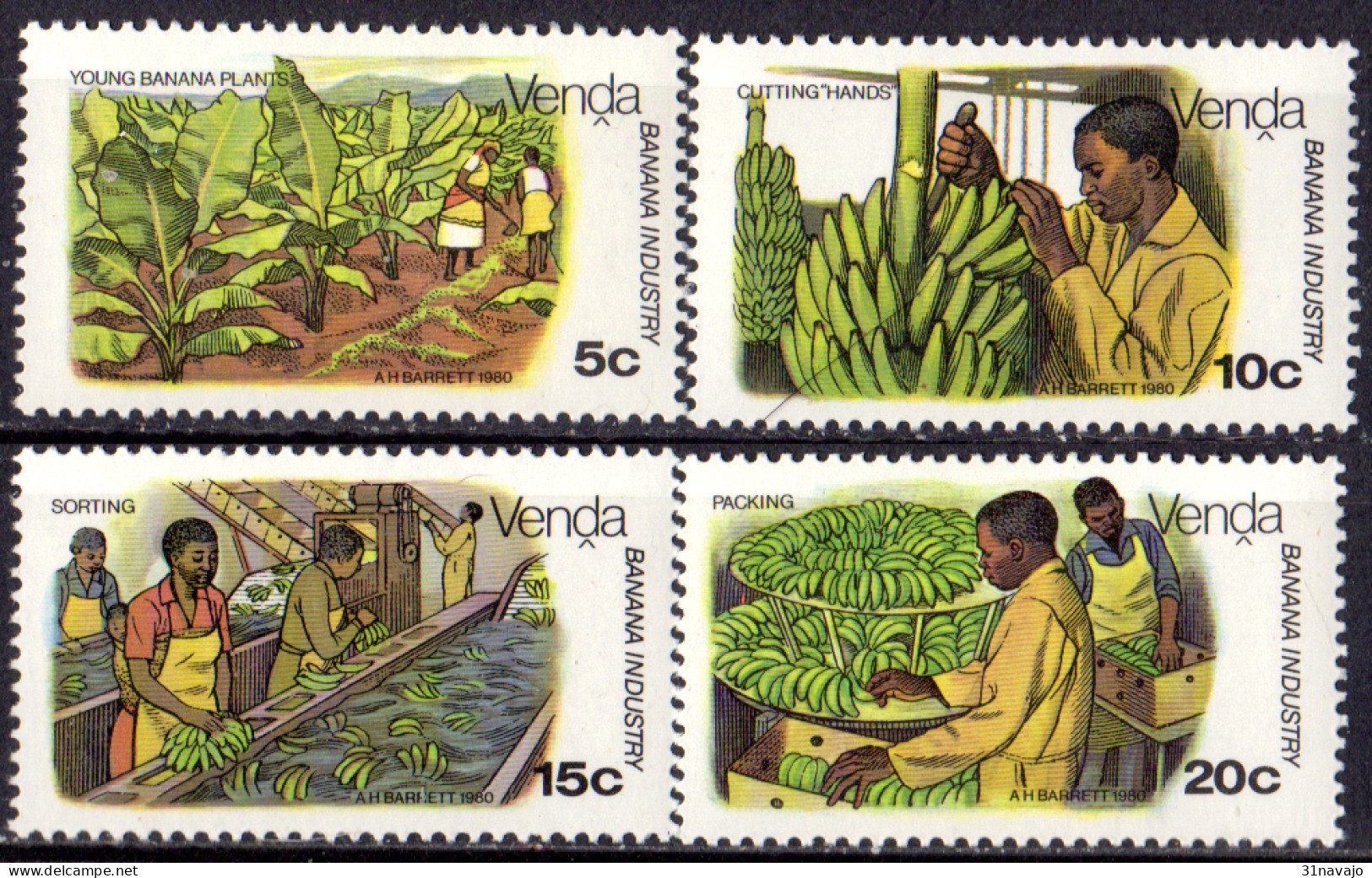 VENDA - Culture De La Banane - Venda