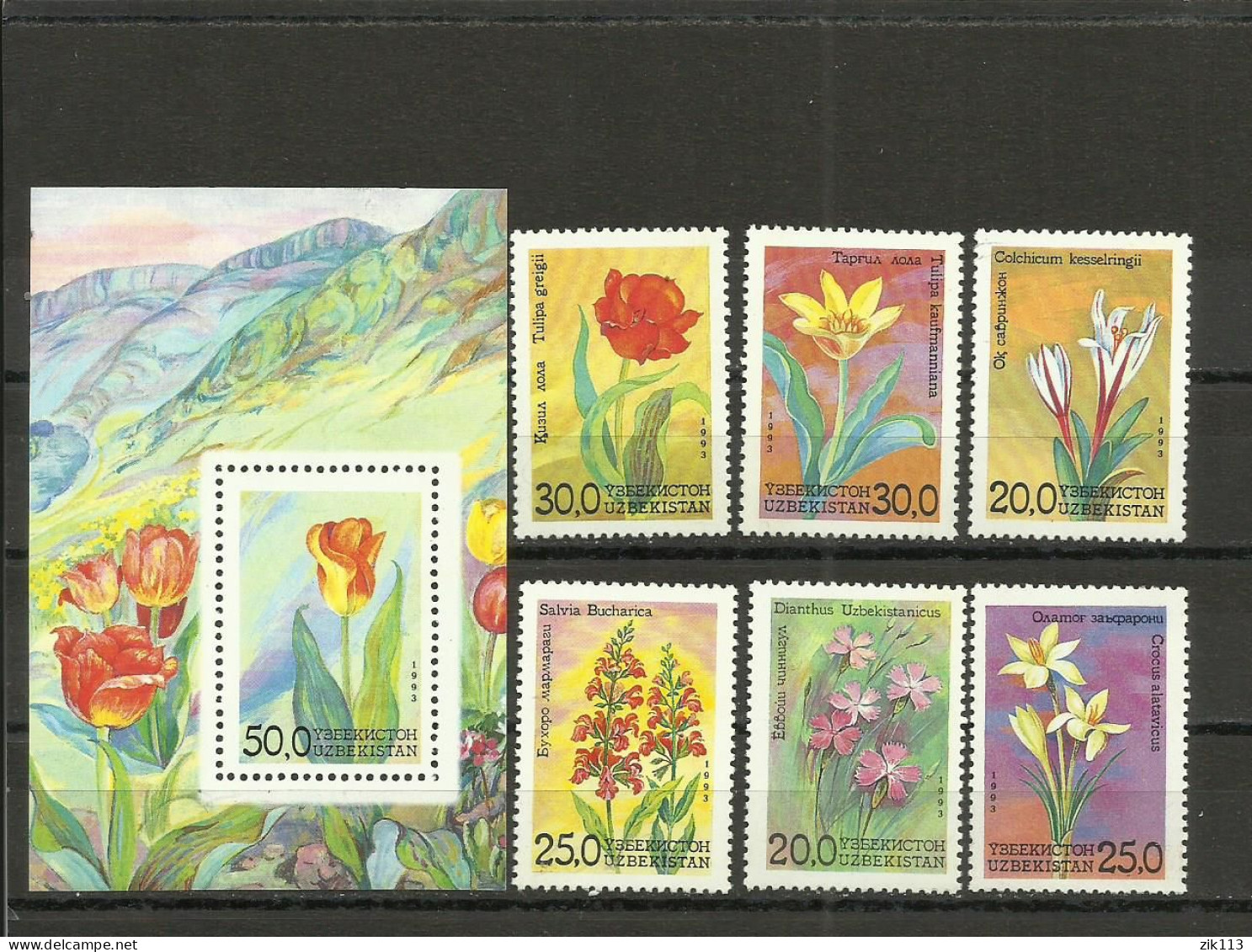 Uzbekistan 1993 - Flowers, MNH - Uzbekistan