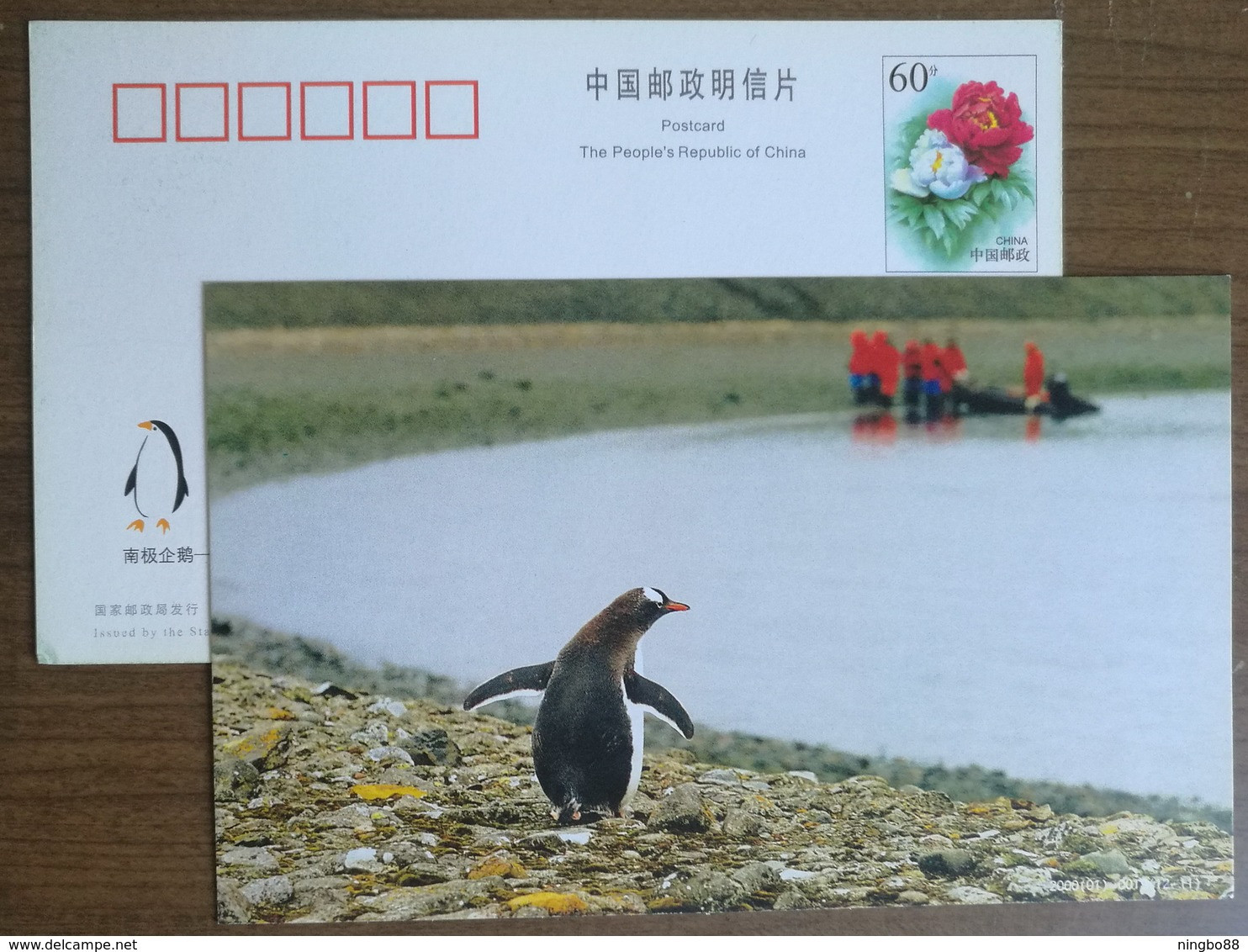 Gentoo Penguin(Pygoscelis Papua),China 2000 Antarctic Penguin Postal Stationery Card - Antarktischen Tierwelt