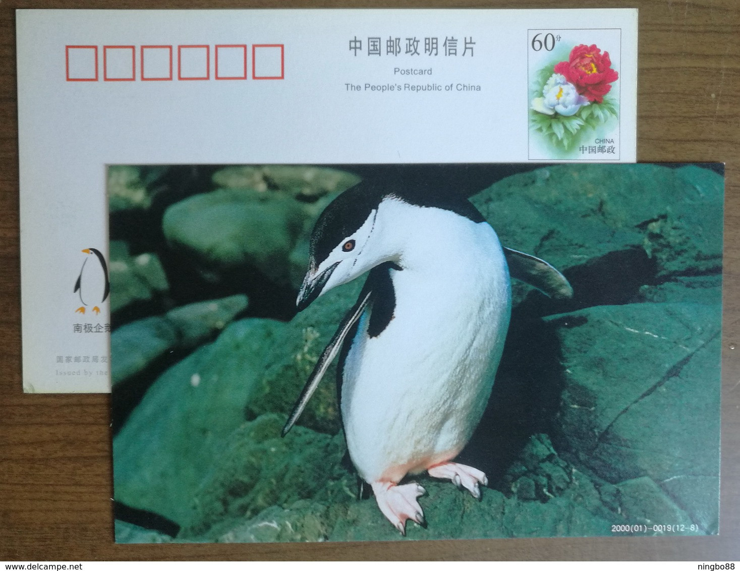 Chinstrap Penguin(Pygoscelis Antarctica),China 2000 Antarctic Penguin Postal Stationery Card #6 - Fauna Antártica