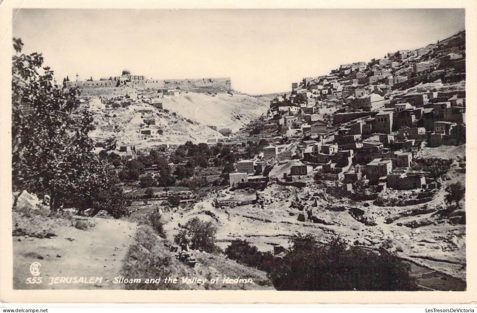 ISRAEL - Jérusalem - Siloam And The Valley Of Headmn - Carte Postale Ancienne - Israel