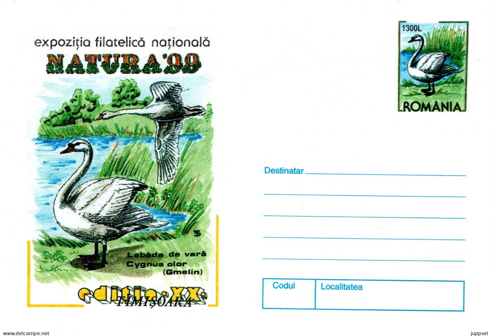 Cover  ROMANIA, Bird, Swan   /   Lettre ROUMANIE, Oiseau, Cygne - Swans