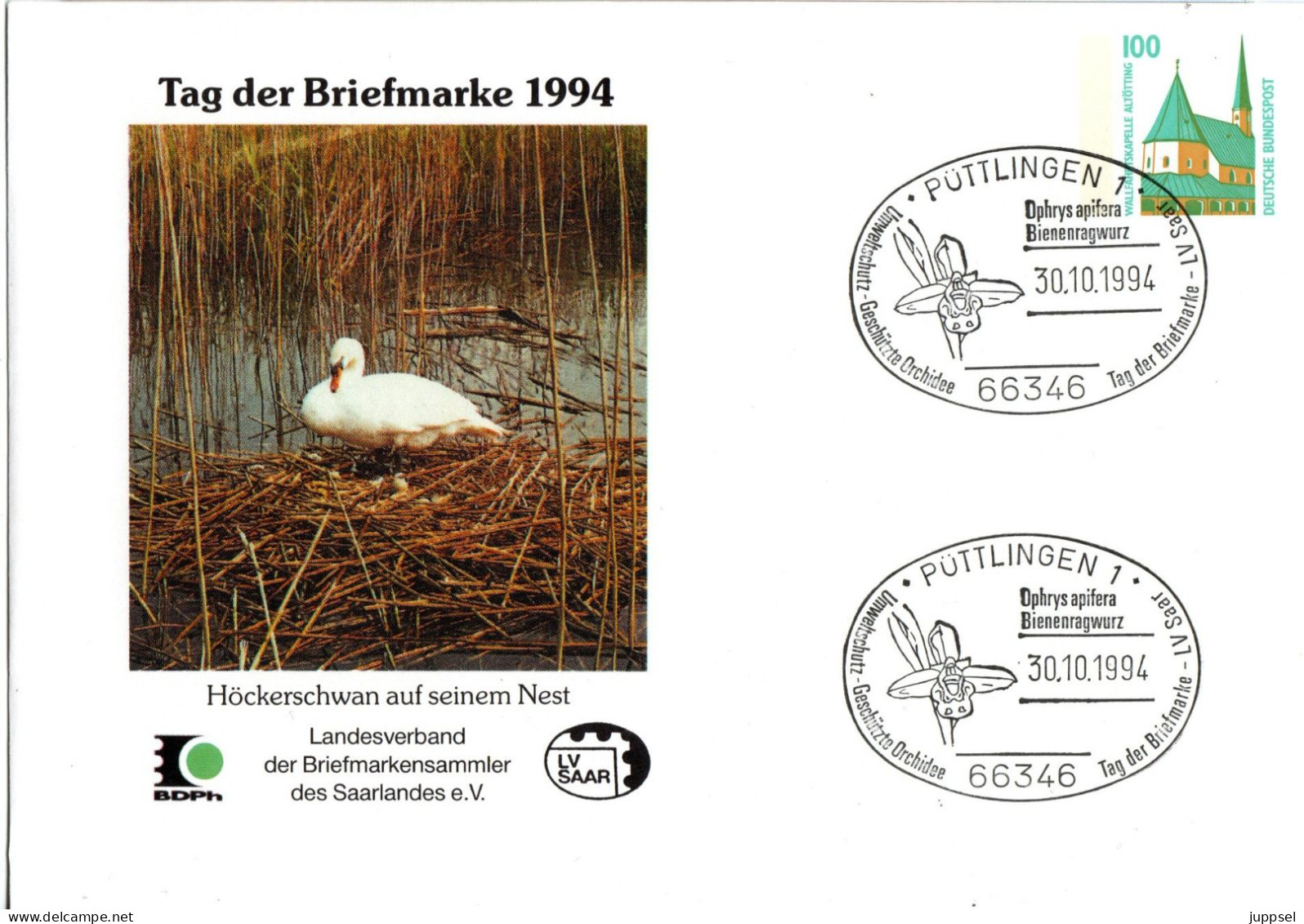 Cover  GERMANY, Bird, Swan   /   Lettre ALLEMAGNE, Oiseau, Cygne - Cygnes