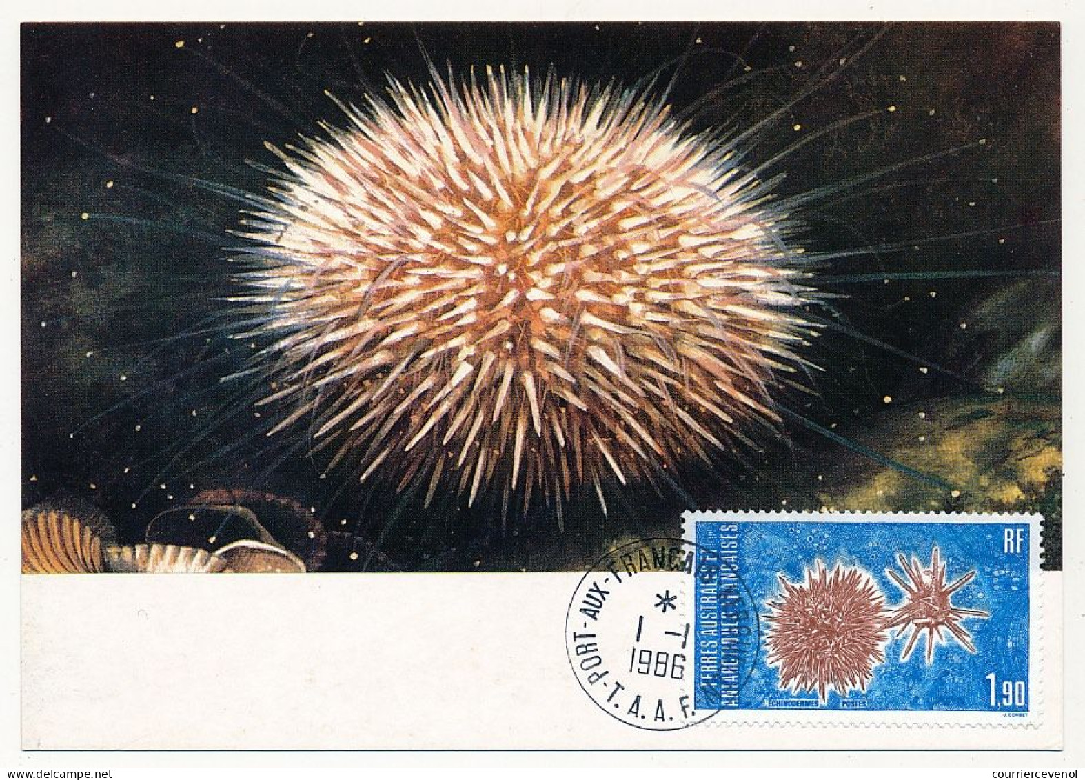 TAAF - Carte Maximum 1,90 Echinodermes - Port Aux Français Kerguelen 1/1/1986 - Covers & Documents