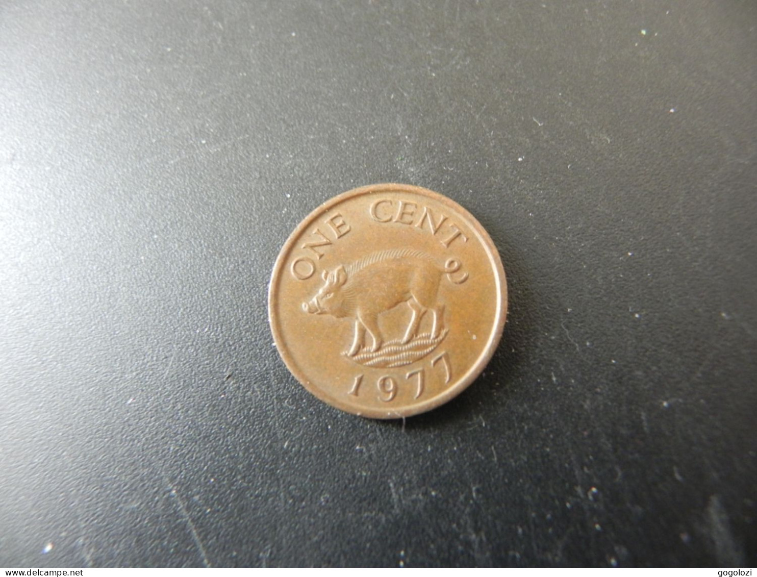 Bermuda 1 Cent 1977 - Pig - Bermudas