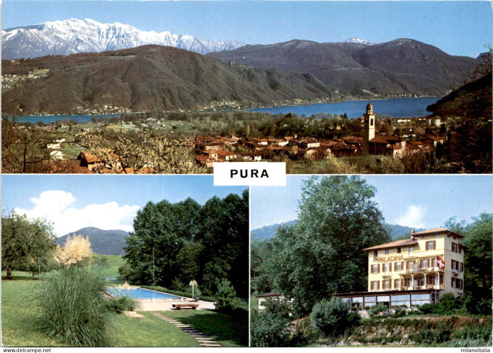 Pura - 3 Bilder (9431) * 14. 3. 1983 - Pura