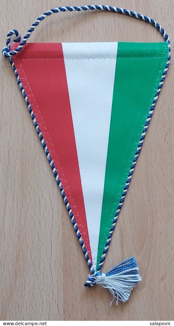 TF SE Budapest Hungary Basketball Club PENNANT, SPORTS FLAG ZS 2/2 - Bekleidung, Souvenirs Und Sonstige