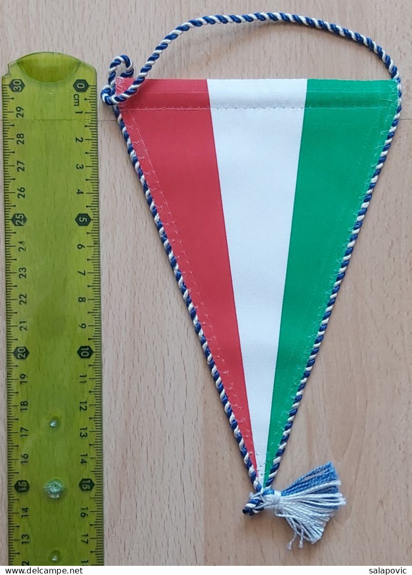 TF SE Budapest Hungary Basketball Club PENNANT, SPORTS FLAG ZS 2/2 - Bekleidung, Souvenirs Und Sonstige