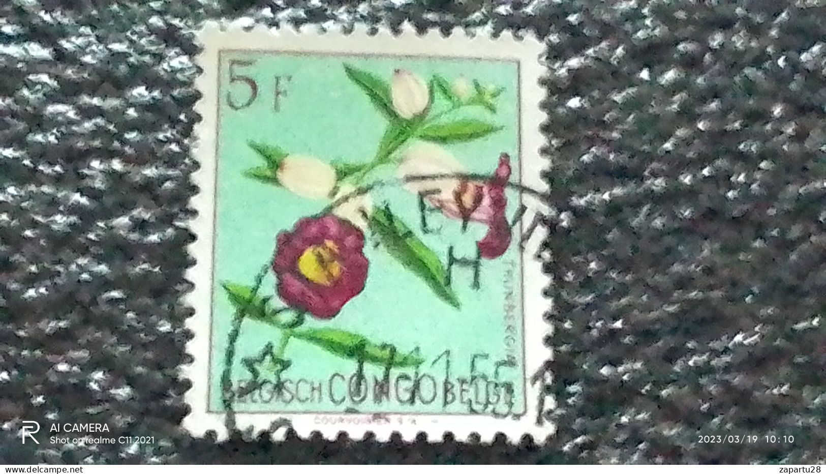 KONGO HALK CUMHURİYETİ-1960-70-     5FR    USED - Used Stamps