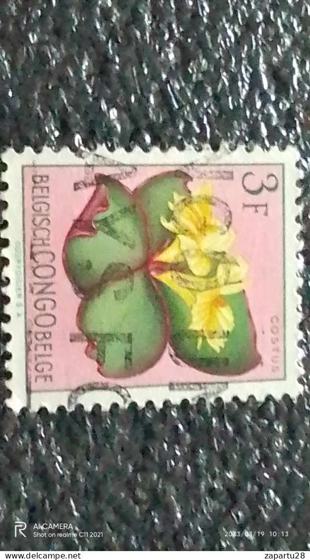 KONGO HALK CUMHURİYETİ-1960-70-    3FR USED - Oblitérés