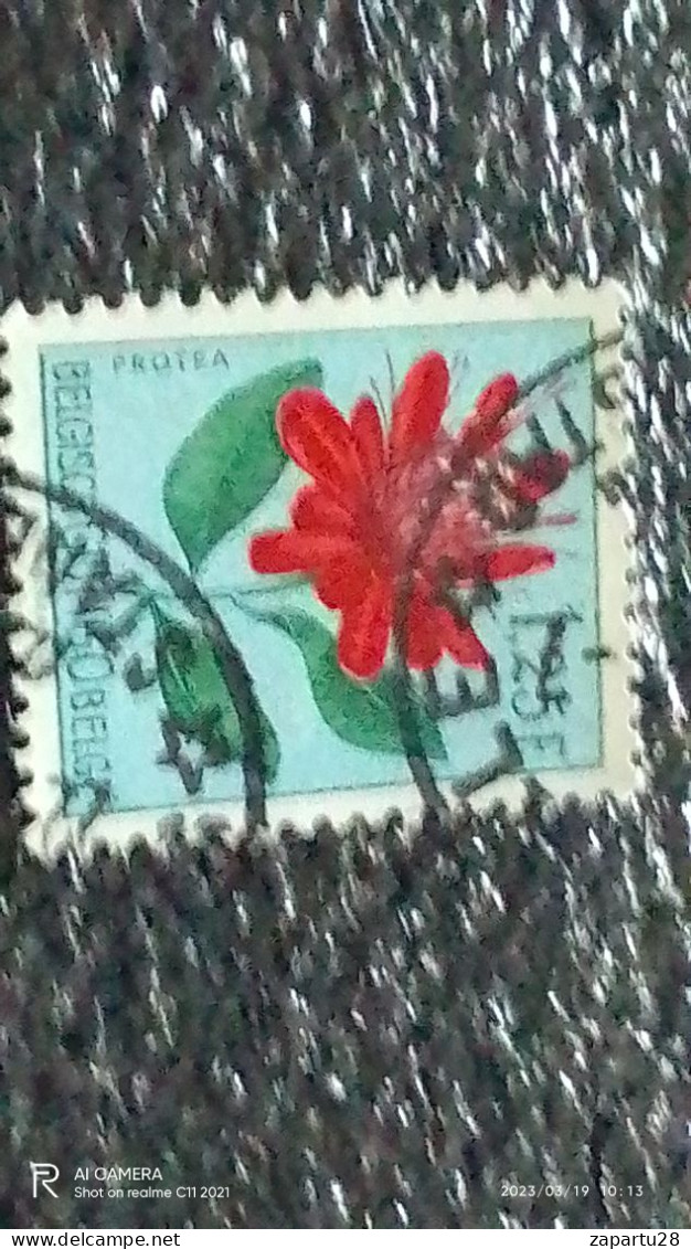 KONGO HALK CUMHURİYETİ-1960-70-    1.25FR    USED - Used Stamps