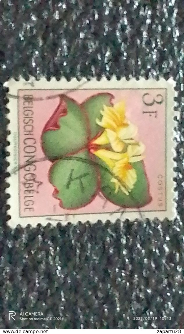 KONGO HALK CUMHURİYETİ-1960-70-    3FR    USED - Used Stamps